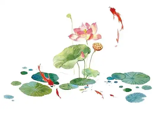 中国风古风手绘笔墨荷花荷叶二十四节气立夏夏天素材二十四节气立夏