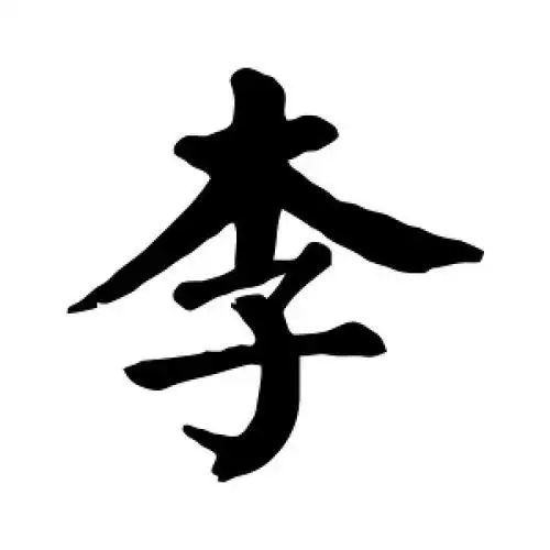 李字的楷书怎么写,李的楷书书法 - 爱汉语网