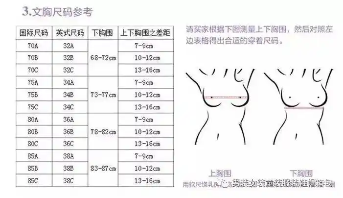 罩杯尺码表(罩杯尺码表换算图片)