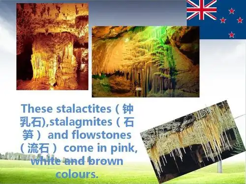 新西兰ppt英文版