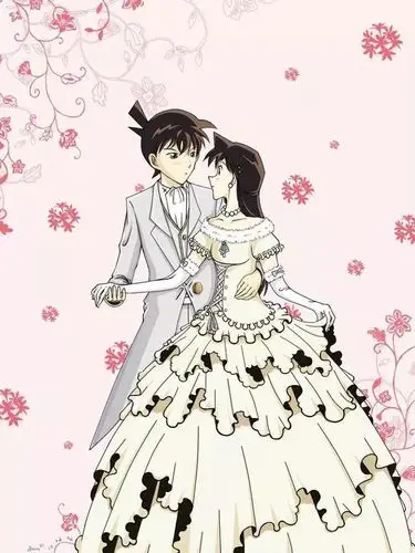 网友想象中的新兰结婚照《名侦探柯南》中的重要女性角色,我们可以一