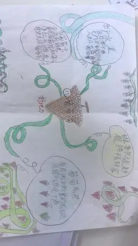 獾的礼物的思维导图简笔画