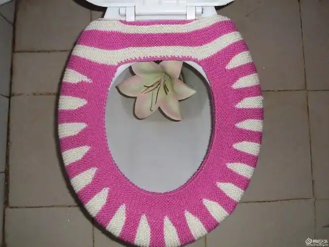 跟园丁老师学织的马桶套.