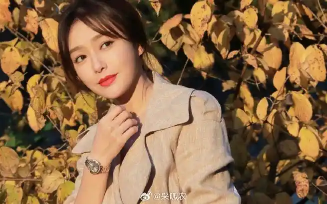 陈晓与陈妍希的婚姻变故,不仅令娱乐圈震惊,更意外地牵扯出了与袁姗姗