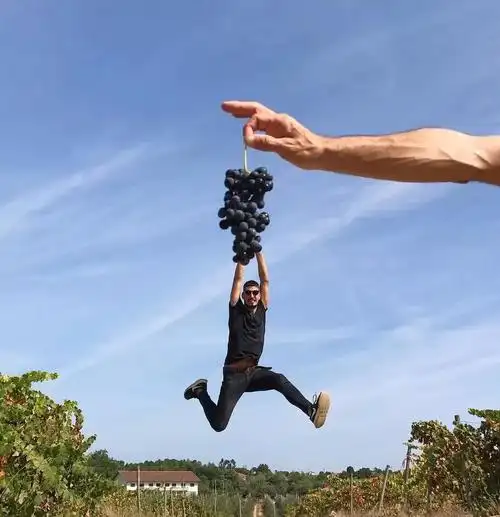 不用 ps,你也能拍出这样的幽默错位照!