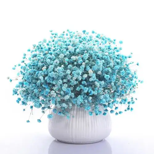 干花花束满天星装饰摆件家居客厅摆设大束自然干花