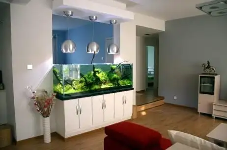 (鱼缸装修效果图)鱼缸忌有盖在一些商店里,我们不免会发现,店里的鱼缸