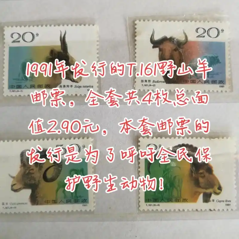 邮票收藏 #保护野生动物人人有责  - 抖音