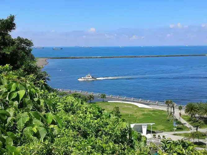 台湾海峡 - 狐狸狐狸鱼