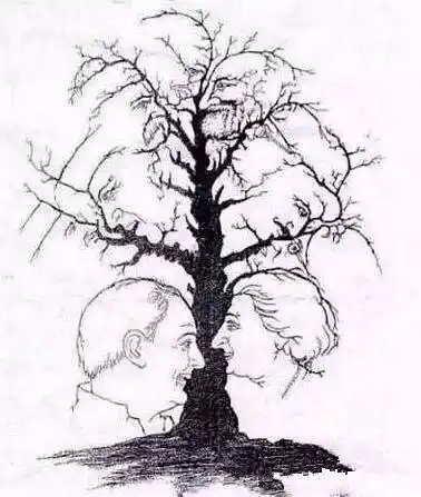 全国智力等级测试,看看你是几级?