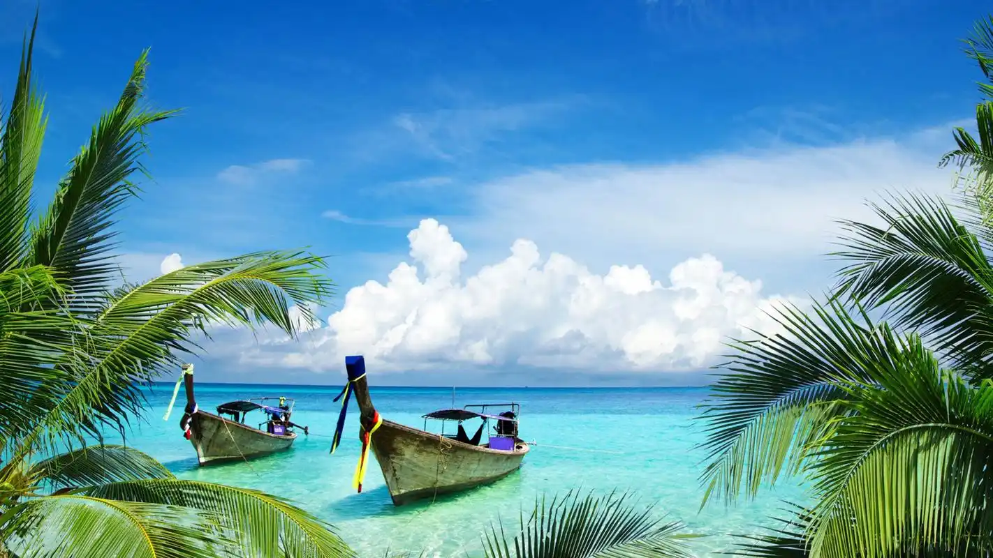 海边沙滩棕榈树自然风光图片电脑壁纸高清大图预览1920x1200_风景壁纸