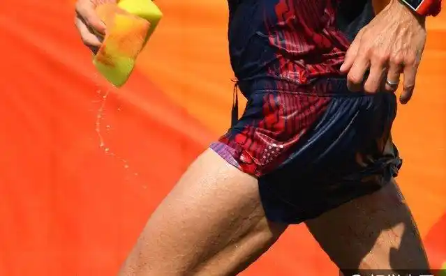 2016年8月19日,巴西,2016里约奥运会男子50公里竞走