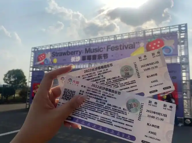 长沙草莓音乐节