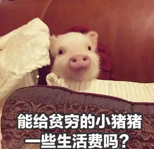 好吧,虽然爹妈也无情否认了我们的友情!