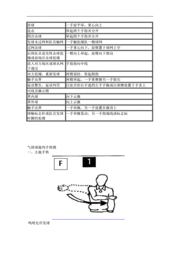 最新气排球裁判员规则和手势图片版doc16页