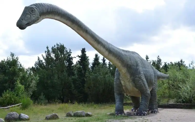 恐龙中的巨无霸雷龙