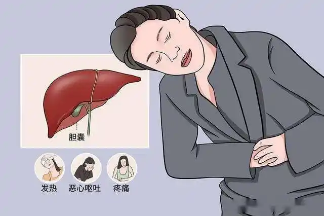 而慢性期的胆囊炎常常和胆结石长期并存,虽然症状不严重,但却严重影响