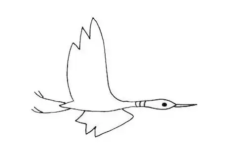 大雁叼虫简笔画