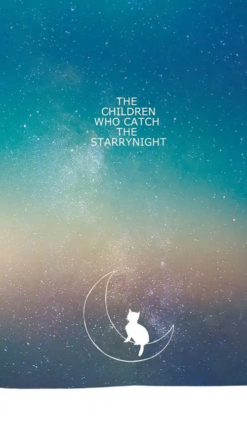 照片星空猫咪手机壁纸