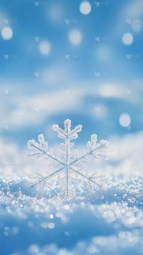 11:02:09冬天通用实景雪地特写雪花背景3喜欢冬天图片花瓣素材