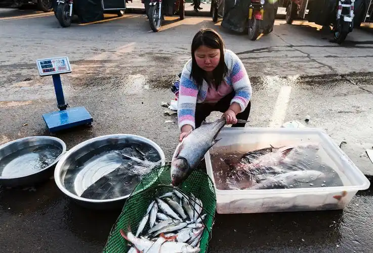 br /> 图片说明:小伙子的爱人是专门卖鱼的,她隔一会就要把鱼换水.