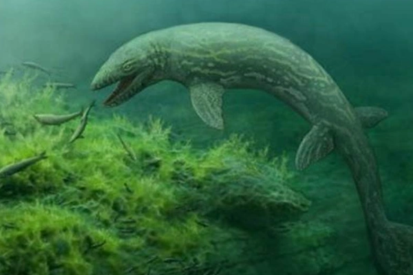 倾齿龙巨型沧龙科动物超过14米长以29米海龟为食