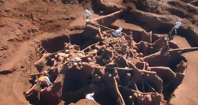 世界上最大的蚂蚁巢穴,花费数年挖掘,最终展现在世人眼前