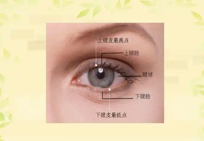 这里要提一个问题,你们知道眼药水要滴到眼睛的哪个部位吗?