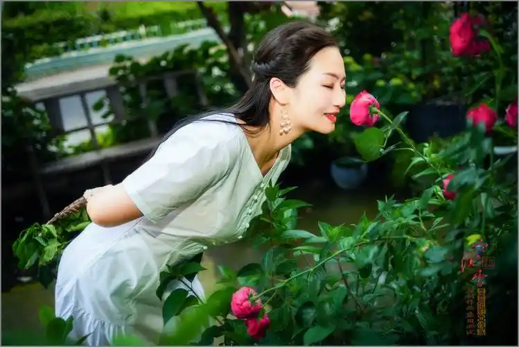 只闻花香 不谈悲喜