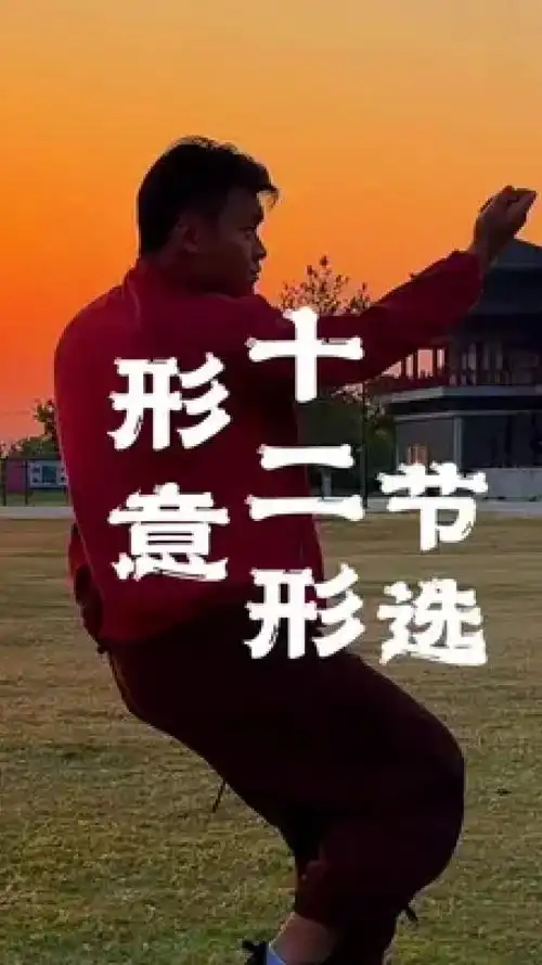 形意拳十二形 #形意拳 #十二形 #日常训练 #功夫 #一见爱上传统文化