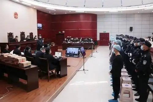 成都简阳首例黑社会性质组织案件宣判 首要分子获刑22年