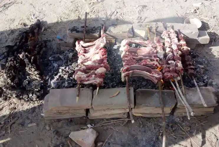 这才是真正的新疆大漠红柳枝烤羊排,你那是牙签肉.