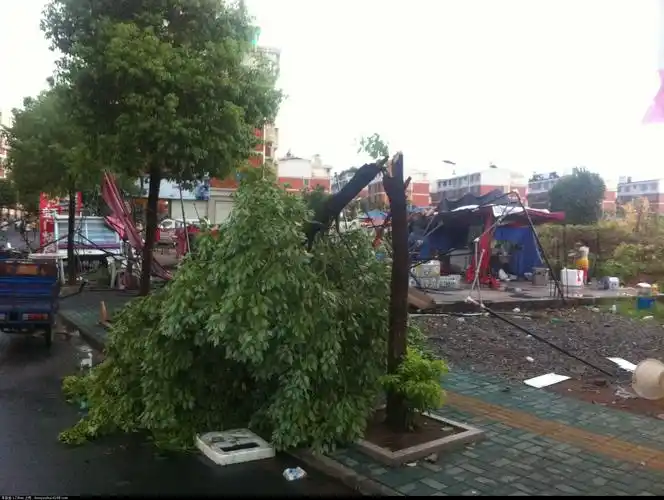 当然也有天气不好的时候,刮大风.