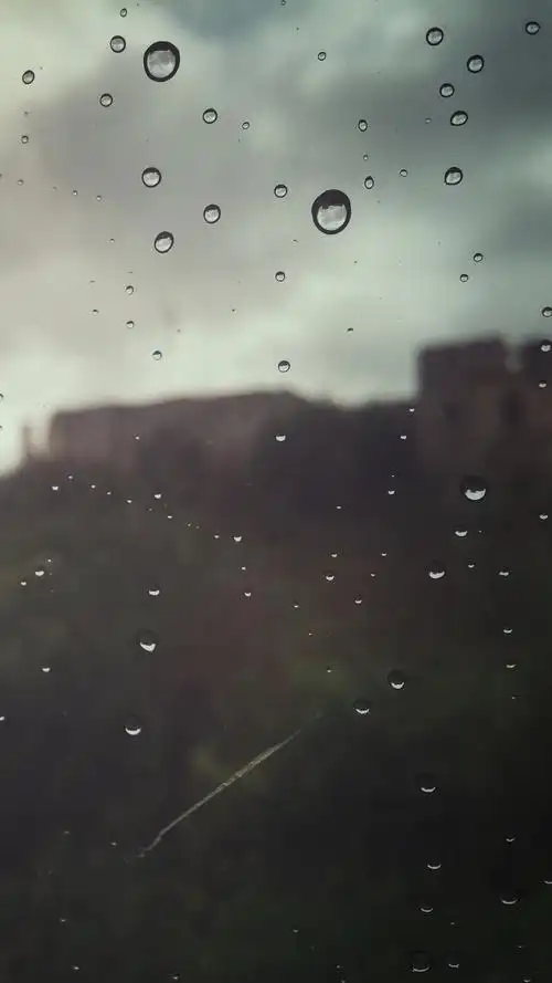 下雨,雨水,水滴,雨滴,手机壁纸雨中美景
