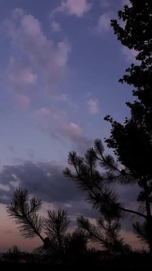 天空背景丨冷色系背景