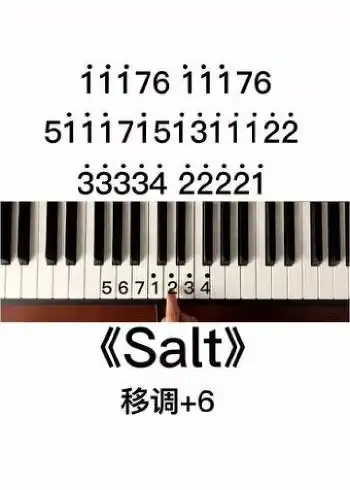 《salt》钢琴简谱教学