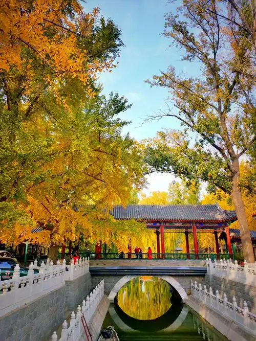 邂逅醉美秋天~赏中山公园秋韵