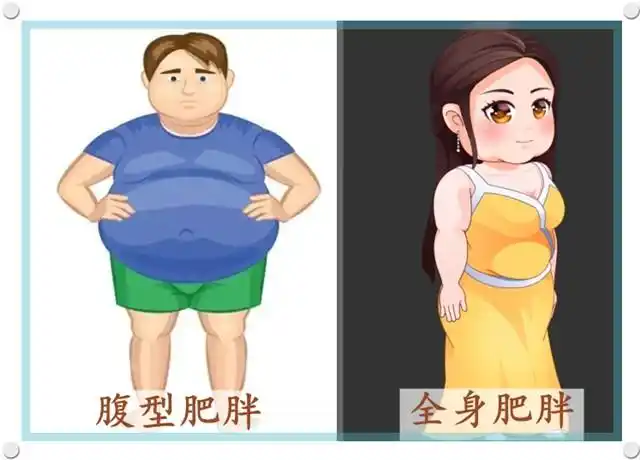 维兰尼梅奥医学科普单纯性肥胖和继发性肥胖的区别