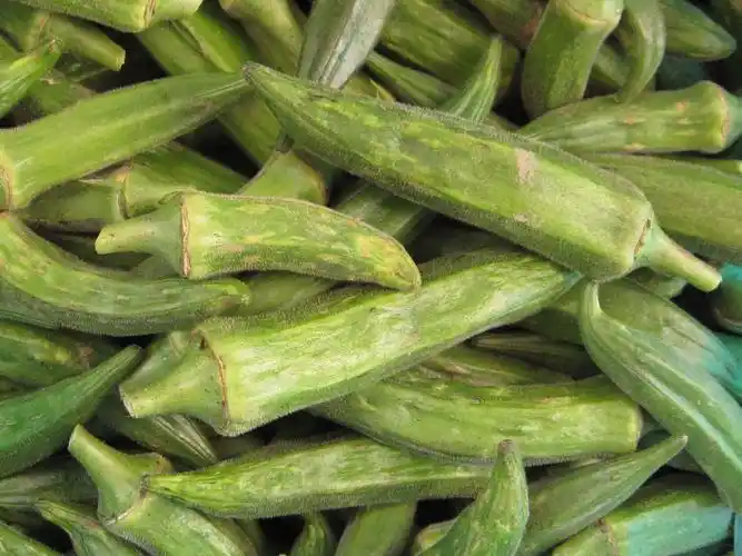 黄秋葵的果实问题?