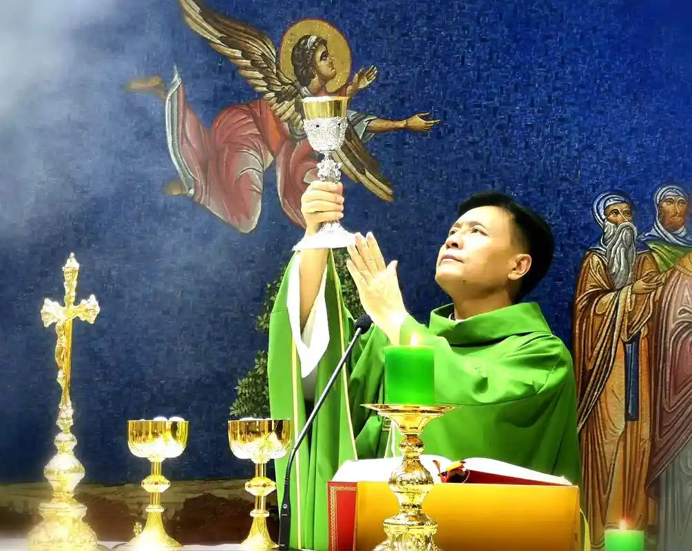 弥撒讲道 | 天生吾侪必有用 - 天主教小助手