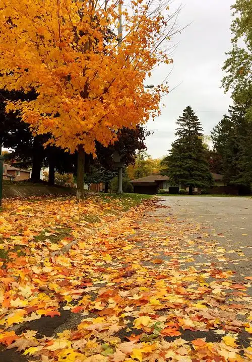 碧云天 黄叶地 秋色连波