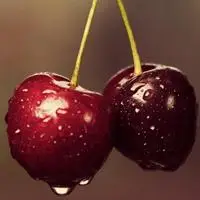 樱桃水果头像樱桃qq头像图片