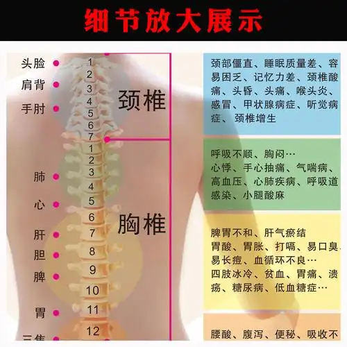 中医养生背部脊椎保养海报人体颈椎胸椎腰椎理疗知识图解