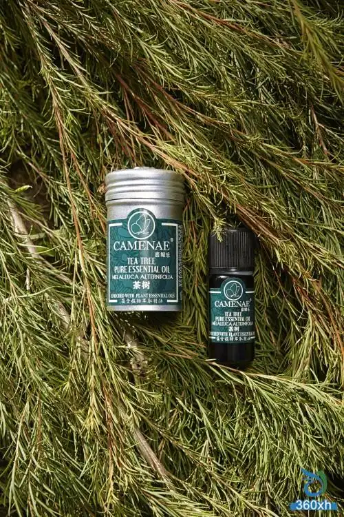 嘉媚乐高品质茶树精油