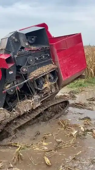 征途山地王履带玉米收割机,加宽加高底盘,板式加长割台,涝洼地收割