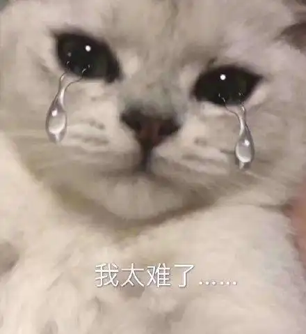 我太难了(流泪喵星人)_喵星人_太难_流泪表情