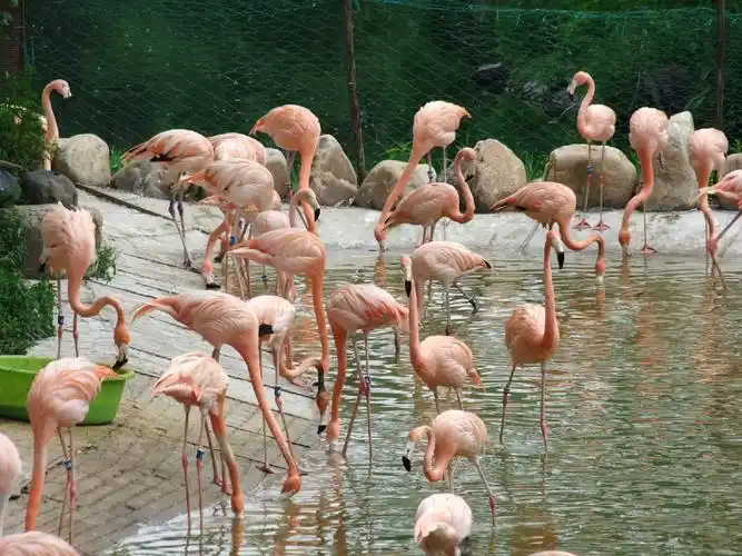 长春市动植物公园