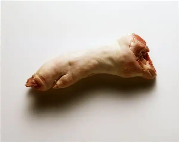 猪蹄图片