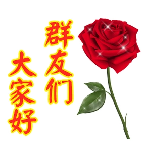 欢迎仪式结束,您一共消费648元表情包 - 表情图