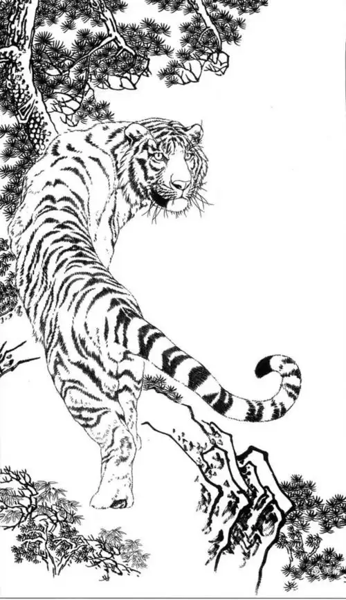 白描《老虎》手稿
